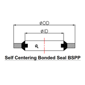 RJ9900-00 - SELF CENTERING BONDED SEAL BSPP