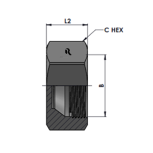 RJ0304-C JIC Cap Nut