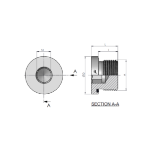 VSTI-R Hollow Hex Plug